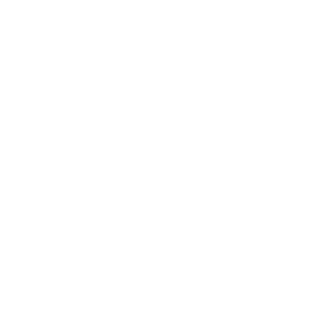 logo pengwin podcast